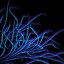 Image result for Cool Neon iPhone Wallpaper