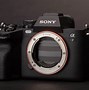 Image result for Sony Alpha A7 IV Sample Photos