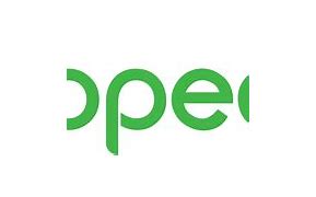 Image result for Tokopedia Icon.png