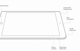 Image result for Apple Inner Part