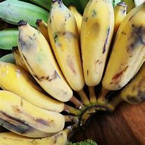 Image result for Sweet Banana