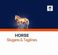 Image result for Horse Slogans