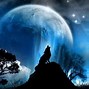 Image result for Night Wolf Art