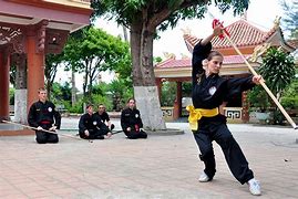 Image result for Vietnam Martial Arts