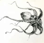 Image result for Octopus Ink