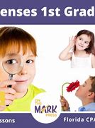 Image result for 5 Senses Worksheet 1st Grade