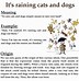 Image result for Funny Coming Home to Dog and Cat Memes
