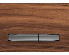 Image result for Dual Flush Button From Reese
