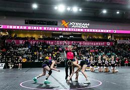 Image result for Iowa High School State Wrestling Finals