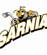 Image result for Sarnia Sting Logo