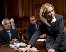 Image result for Good Lawyer