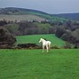 Image result for Irish Countryside Wallpaper Free