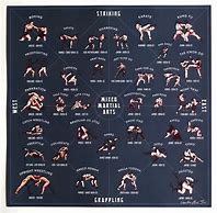Image result for What Are the Different Types of Martial Arts