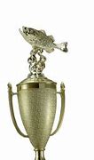Image result for Bass Fishing Trophies