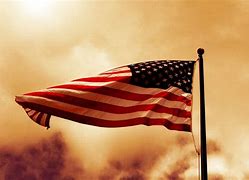 Image result for America Enlisted Flag