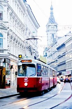 41/333 in 2022 | Vienna austria, Vienna, Places to travel