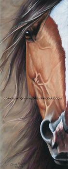 Image result for Front View Horse Art