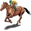 Image result for Horse Racing Pot Lid