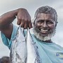 Image result for Maldives Fishing Industry