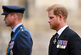 Image result for Prince William and Prince Harry Different Looks