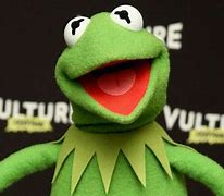 Image result for Evil Kermit Meme About Vto