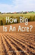 Image result for Big Acre