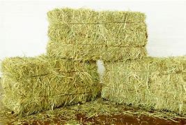 Image result for bale Hay
