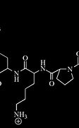 Image result for Carrier Peptide