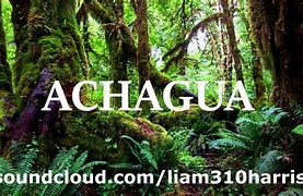 Image result for acuogcha