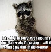 Image result for Funny Raccoon Quotes