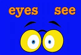Image result for Preschool Five Senses Sight