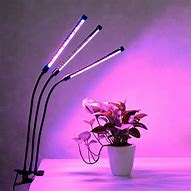 Image result for LED Grow Lights for Indoor Plants Full Spectrum