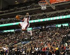 Image result for Nate Robinson Dunk