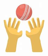 Image result for Cricket Catch Abstract