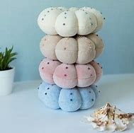Image result for Rubber Sea Urchin Bath Toy