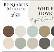 Image result for Dove Gray Color Palette