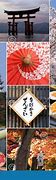 Image result for Japan Tourism Collage