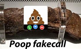 Image result for Poo Phone