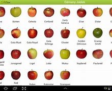 Image result for Apple Varieties in PA List