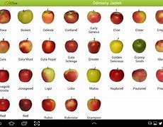 Image result for Apple Tree Identification Chart