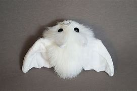 Image result for Albino Bat Stuffed Animal