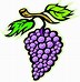 Image result for Grapes Fruit Cartoon