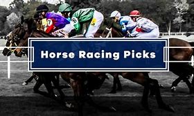 Image result for Horse Racing Pick