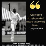 Image result for Witty Cricket Quotes