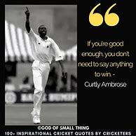Image result for Cricket Quotes in English