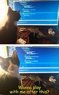 Image result for Matrix Cat Memes