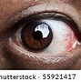 Image result for Crazy Sightings in Camera Picture