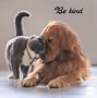 Image result for Memes About Kindness
