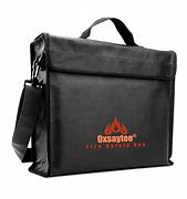 Image result for Flammable Liquid Fireproof Bag