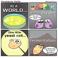 Image result for Biology Memes